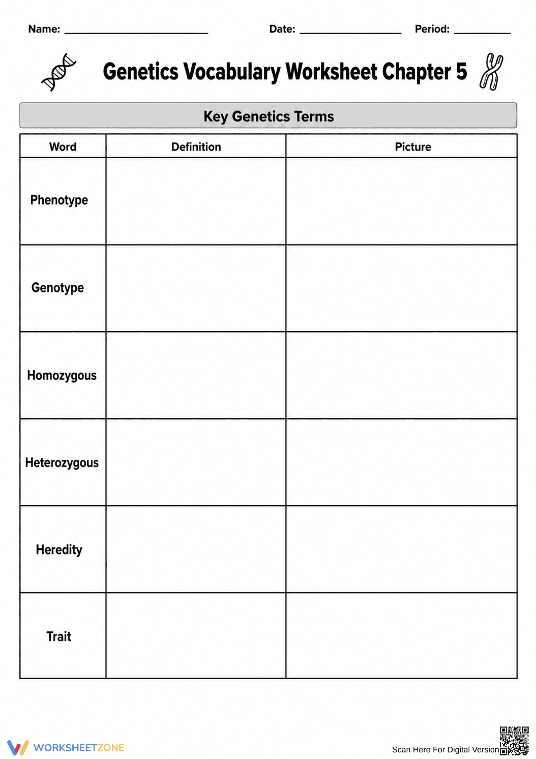 Grade 8 Genetics Vocabulary — Printable No-Prep Worksheet - Page 3