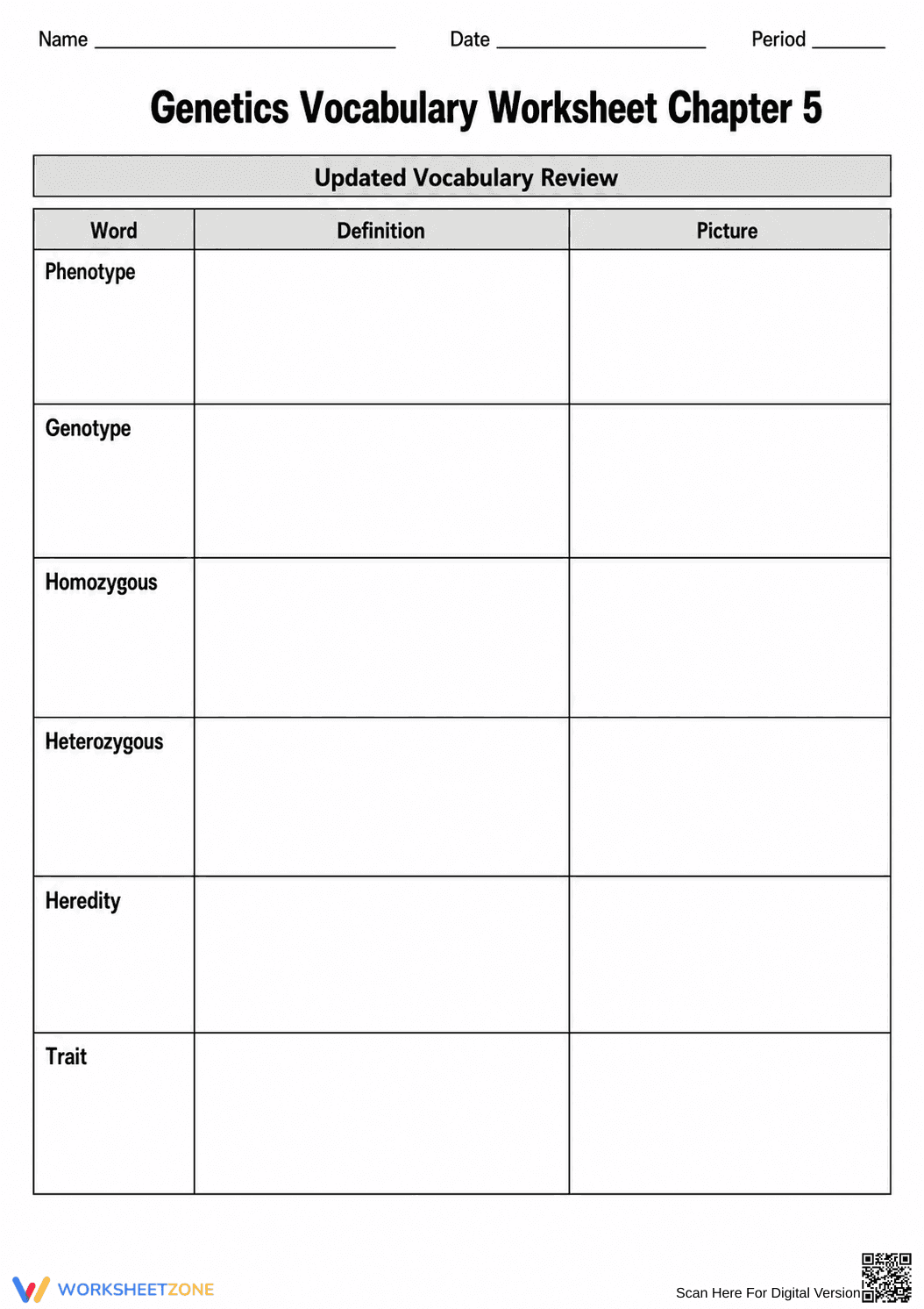 Grade 8 Genetics Vocabulary — Printable No-Prep Worksheet - Page 4