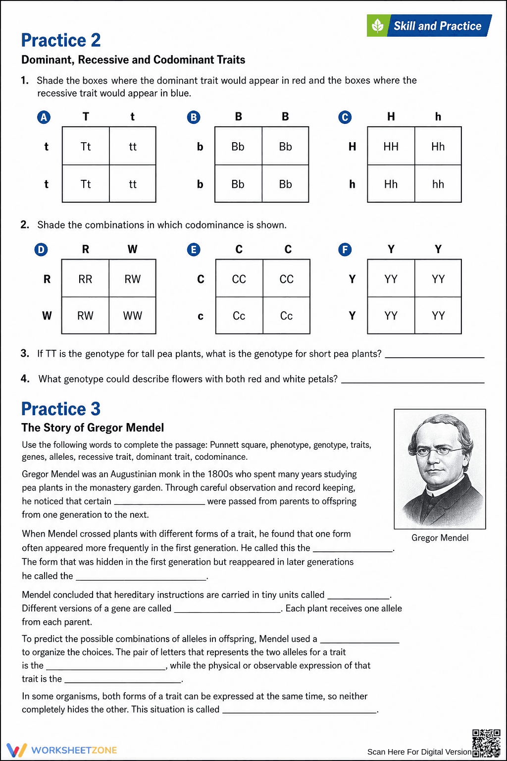Essential Genetics Vocabulary Worksheet | Grade 7-10 Ready - Page 2