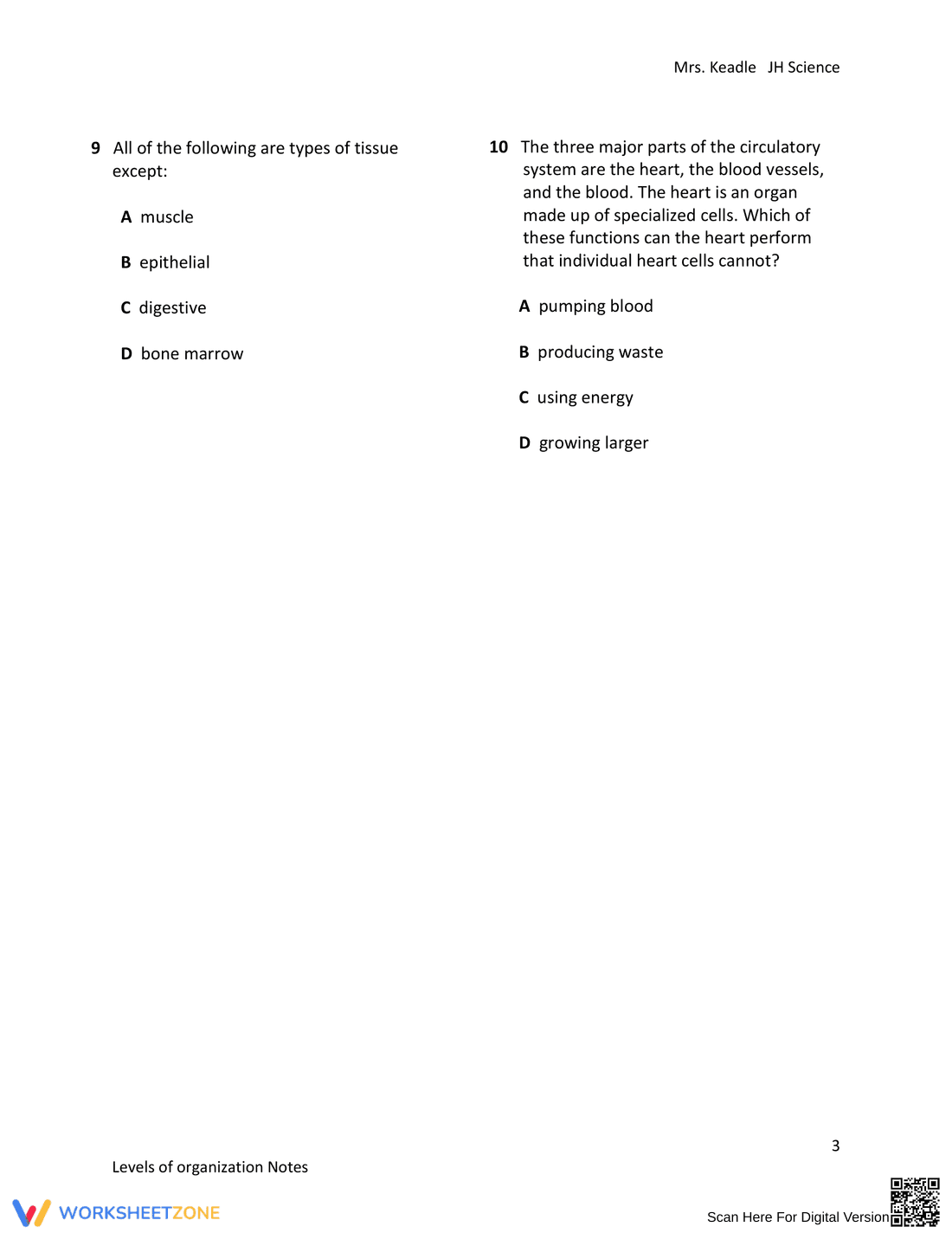 Levels of Organization Notes Worksheet - Page 3