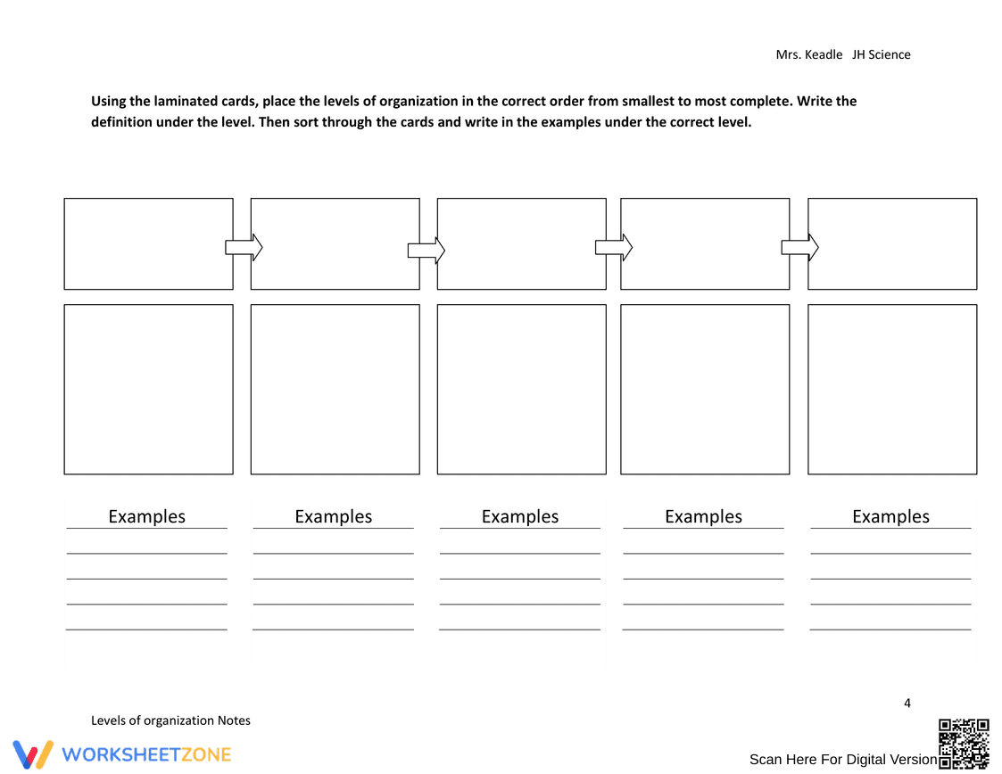 Levels of Organization Notes Worksheet - Page 4