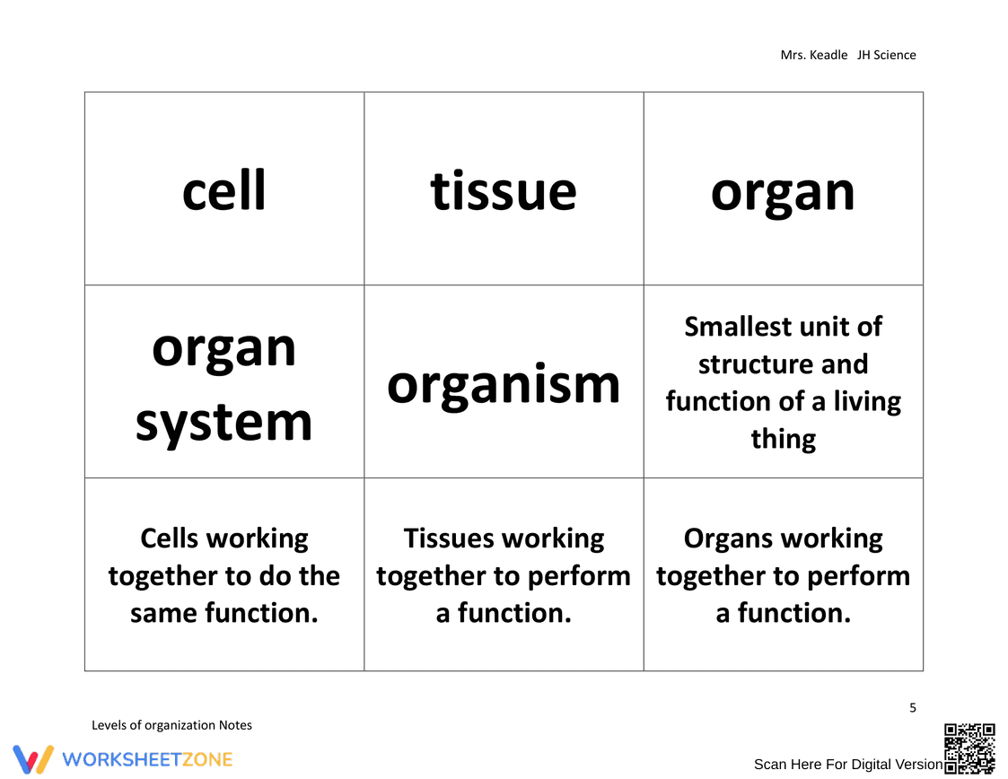 Levels of Organization Notes Worksheet - Page 5