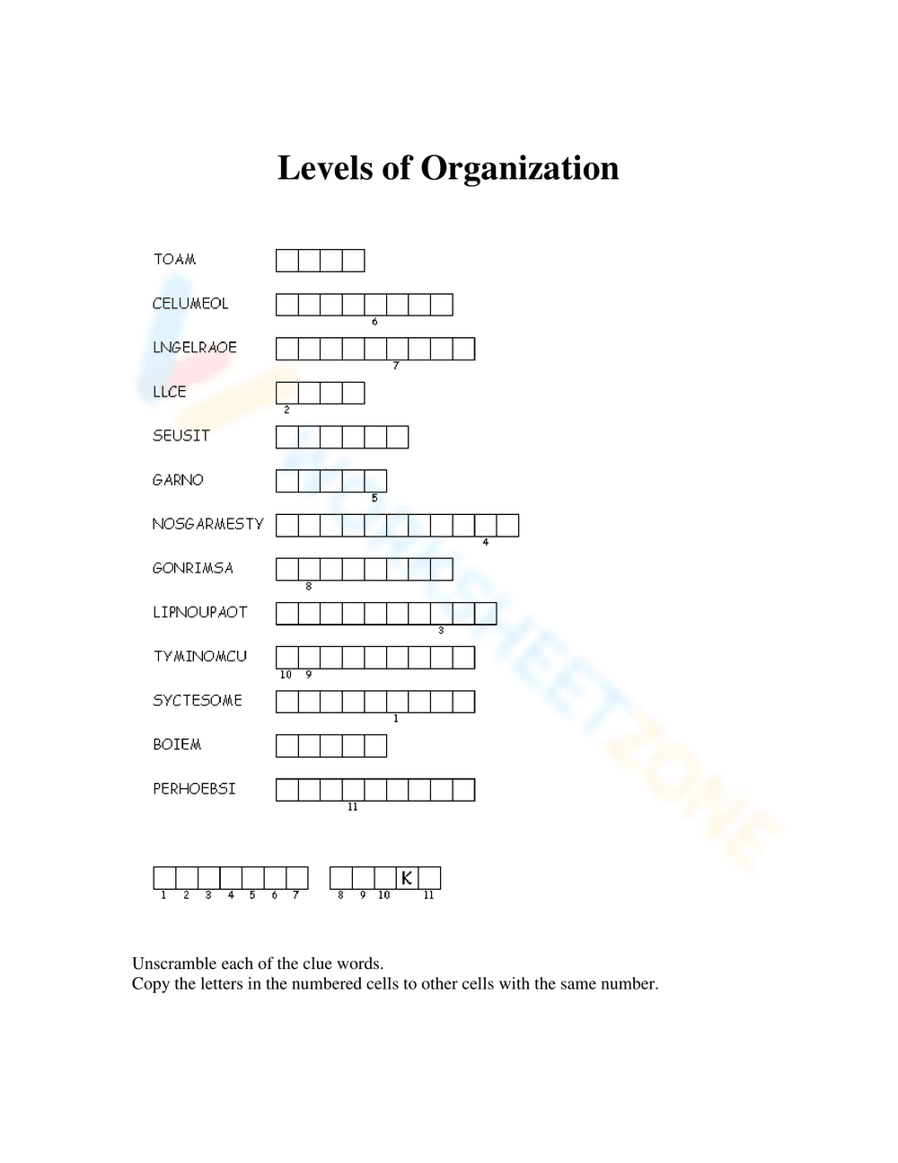 Exploring Biological Levels of Organization - Page 2