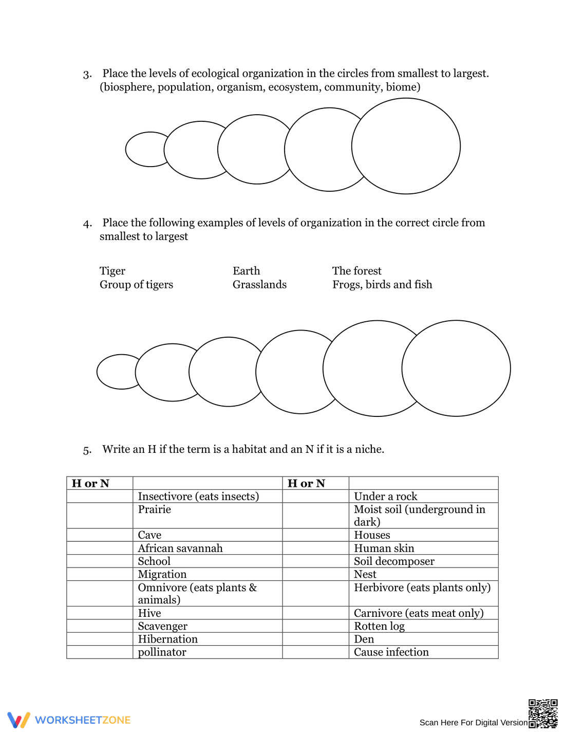 Levels of Organization Reading Worksheet - Page 3