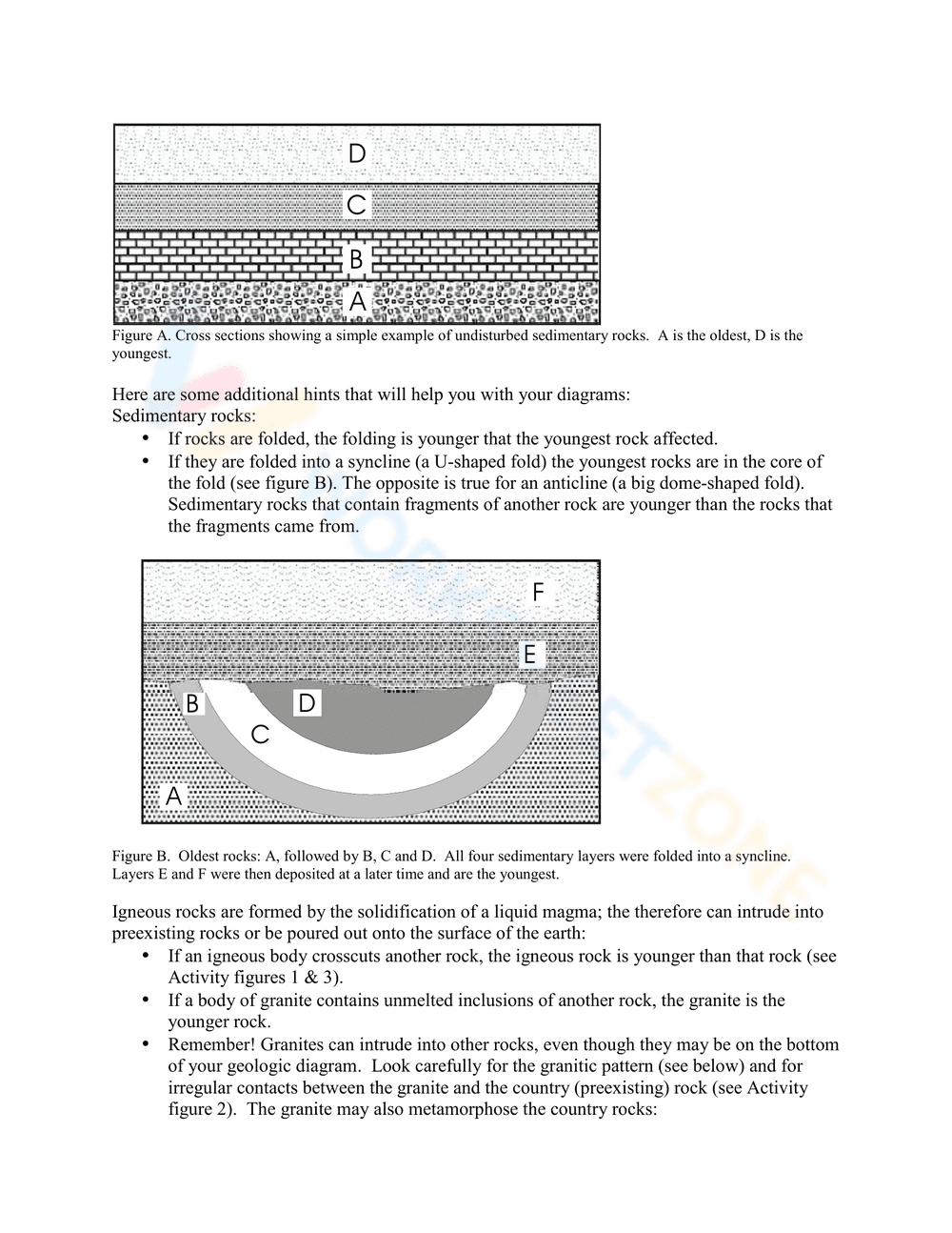 Updated Relative Dating Activity Worksheet - Page 4