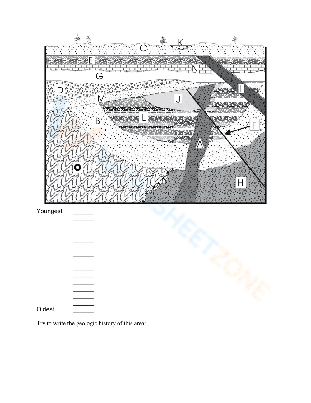Updated Relative Dating Activity Worksheet - Page 10