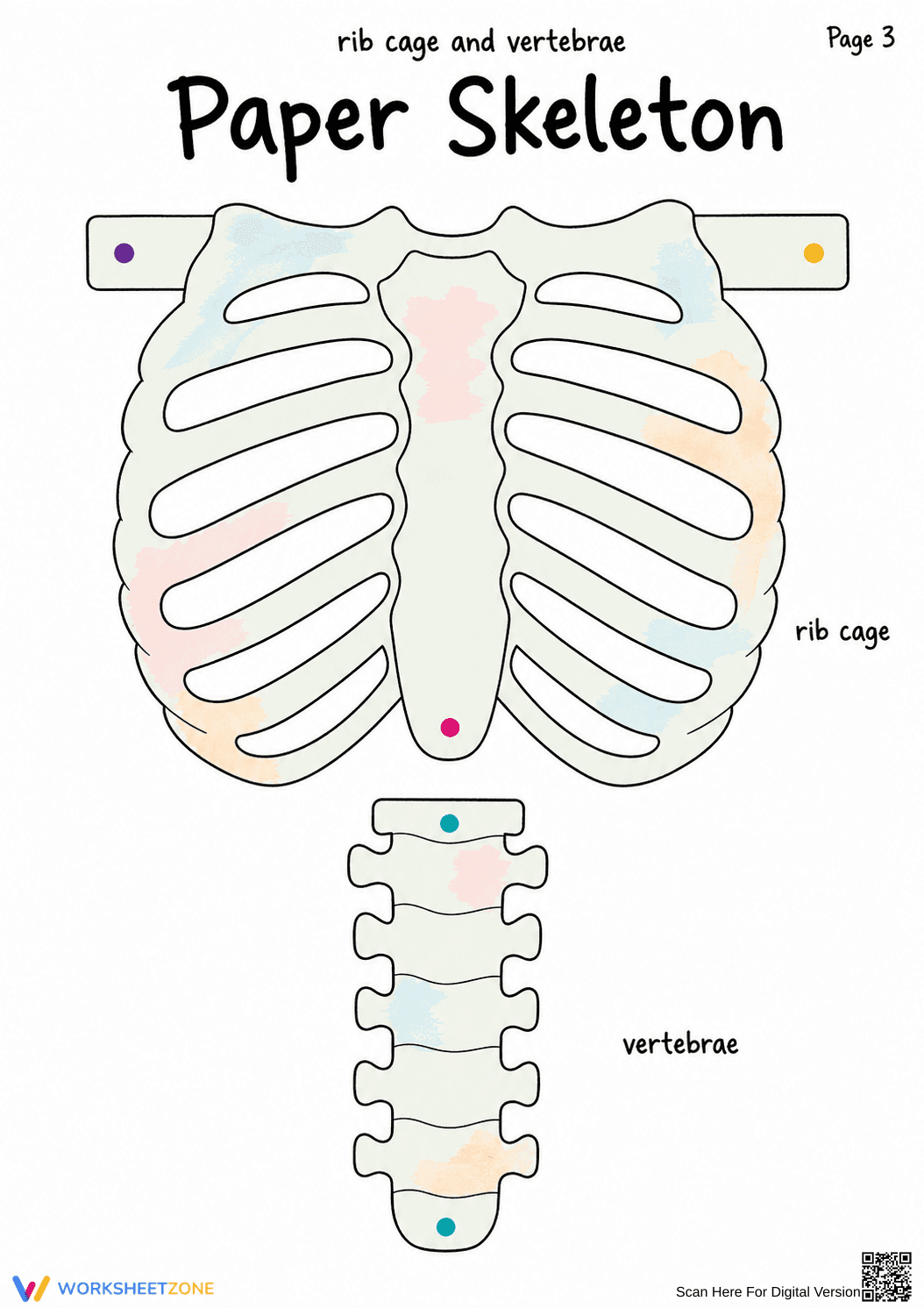 Printable Paper Skeleton Anatomy Craft | Grade 4-7 - Page 2