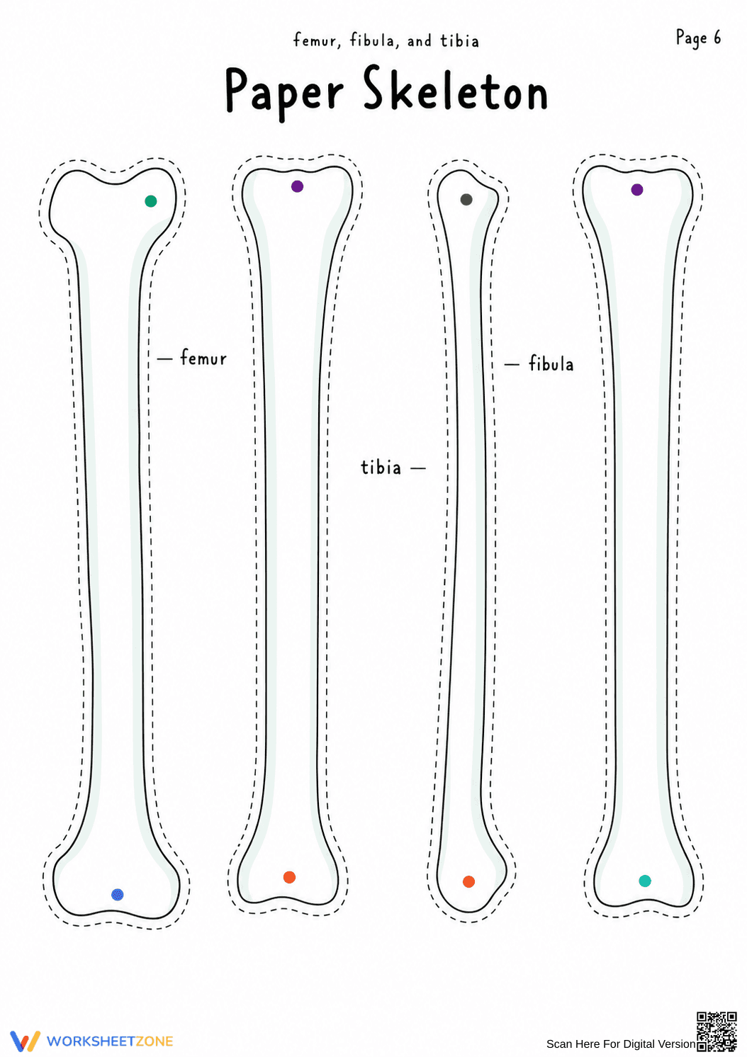 Printable Paper Skeleton Anatomy Craft | Grade 4-7 - Page 5