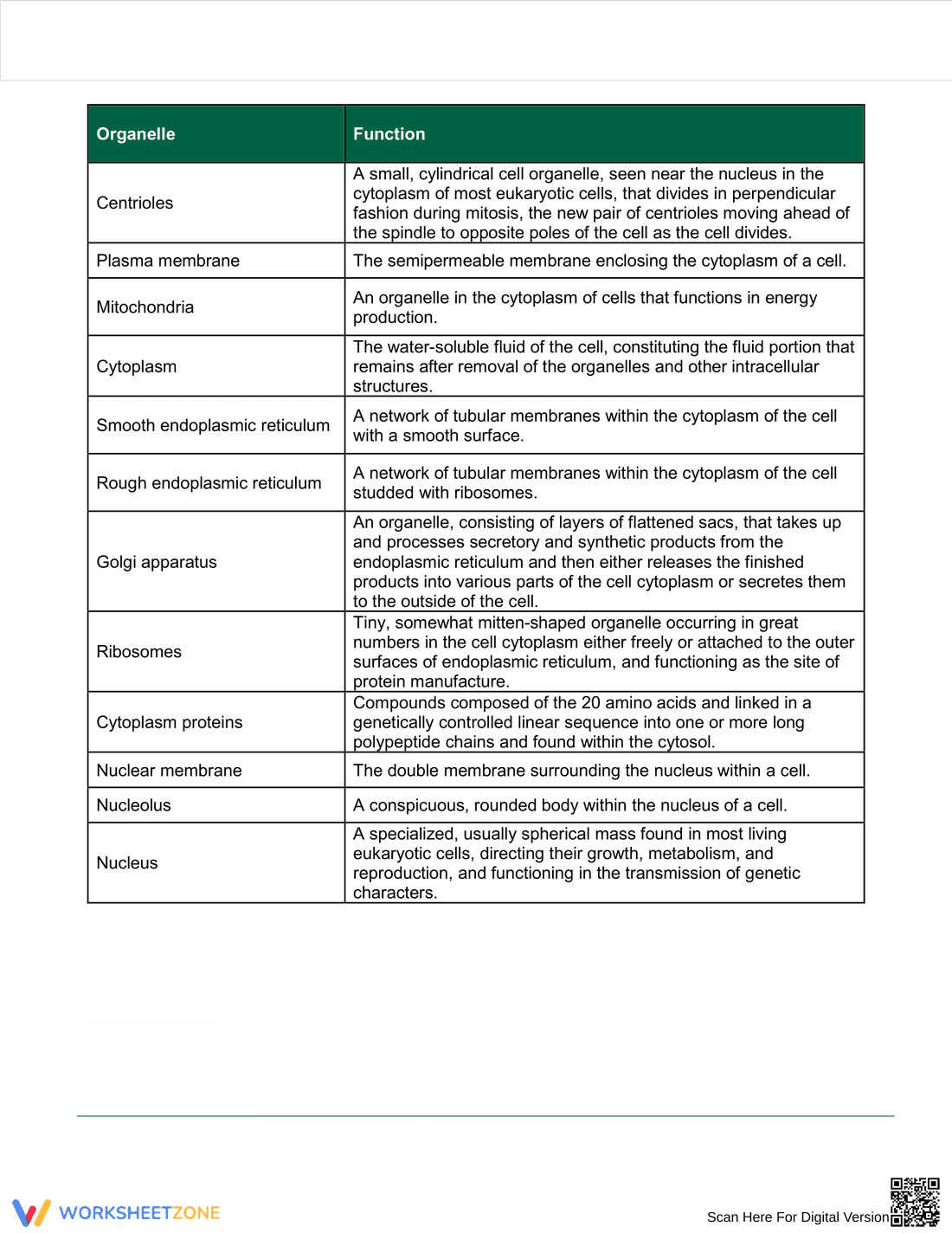 Detailed Cell Anatomy Worksheet: A Biology Guide - Page 2