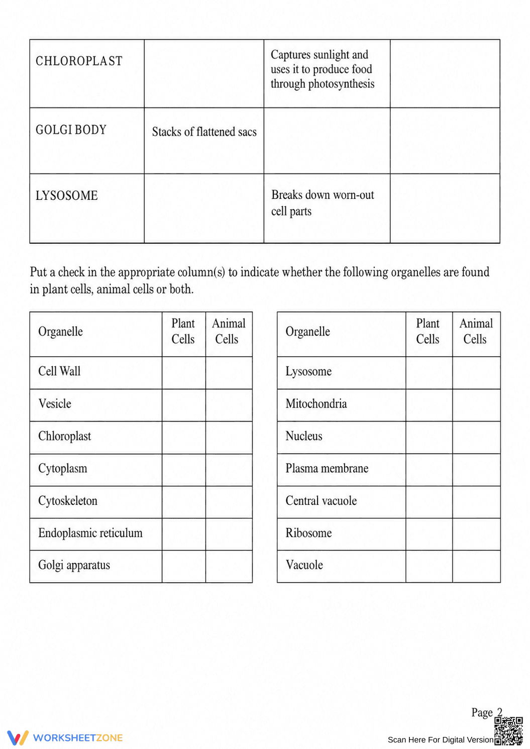 Grade 7 Cell Organelles — Printable No-Prep Worksheet - Page 2