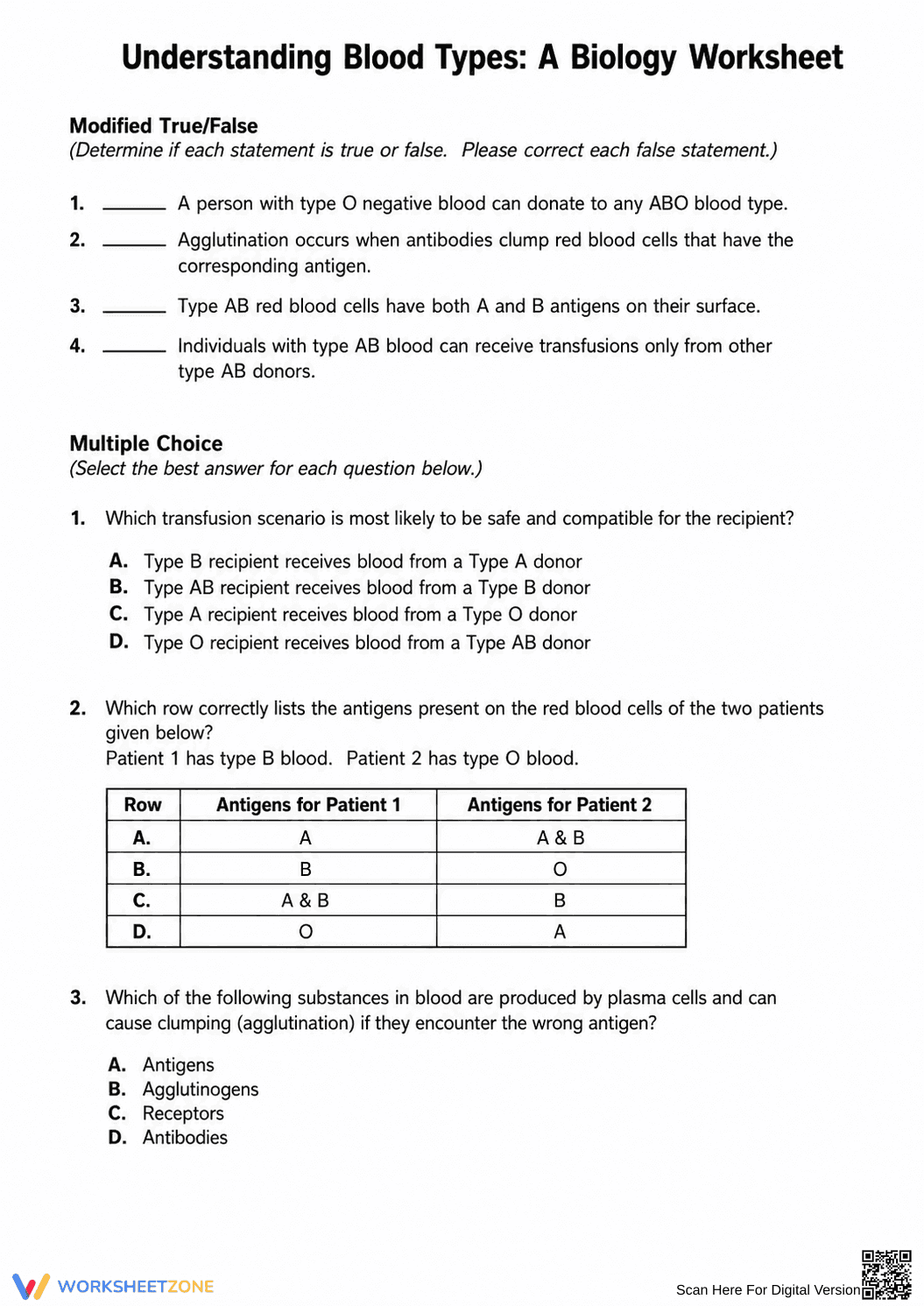Printable Blood Types Worksheet | Grade 9 Biology - Page 2