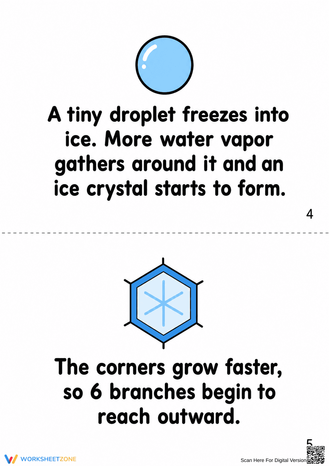 Life Cycle of Snowflakes Printable Booklet | Grade 2-5 - Page 4