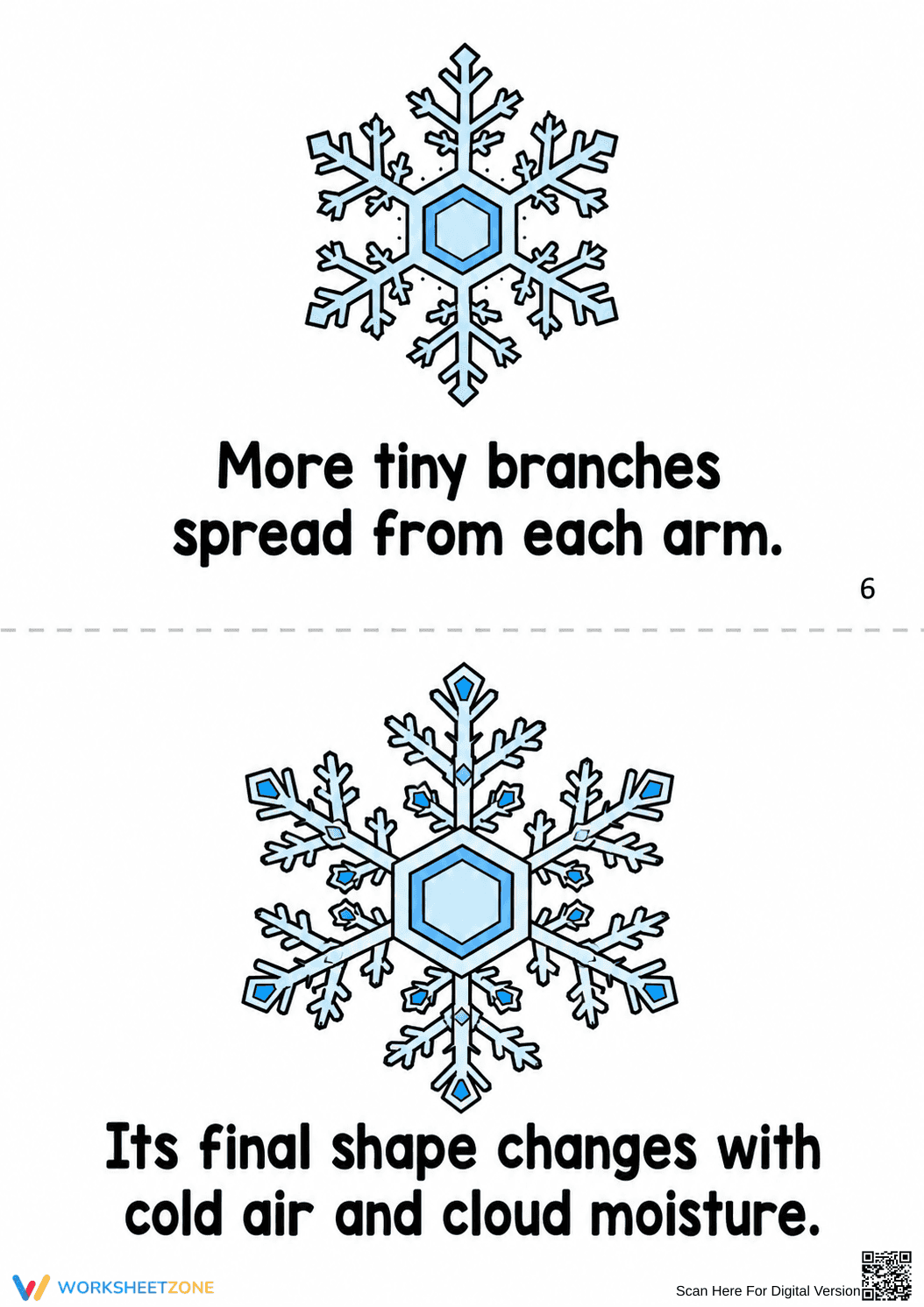 Life Cycle of Snowflakes Printable Booklet | Grade 2-5 - Page 5