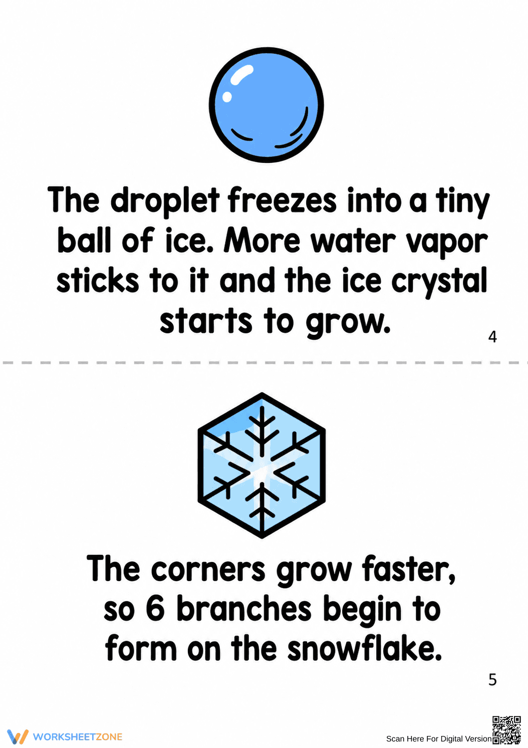 Grade 3 Snowflake Life Cycle — Printable No-Prep Booklet - Page 4