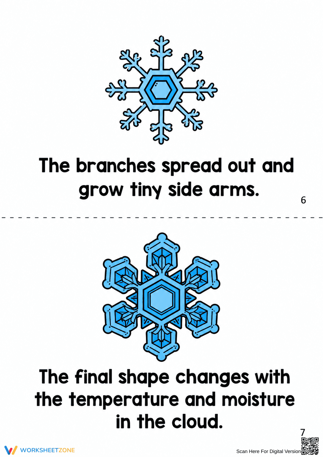 Grade 3 Snowflake Life Cycle — Printable No-Prep Booklet - Page 5