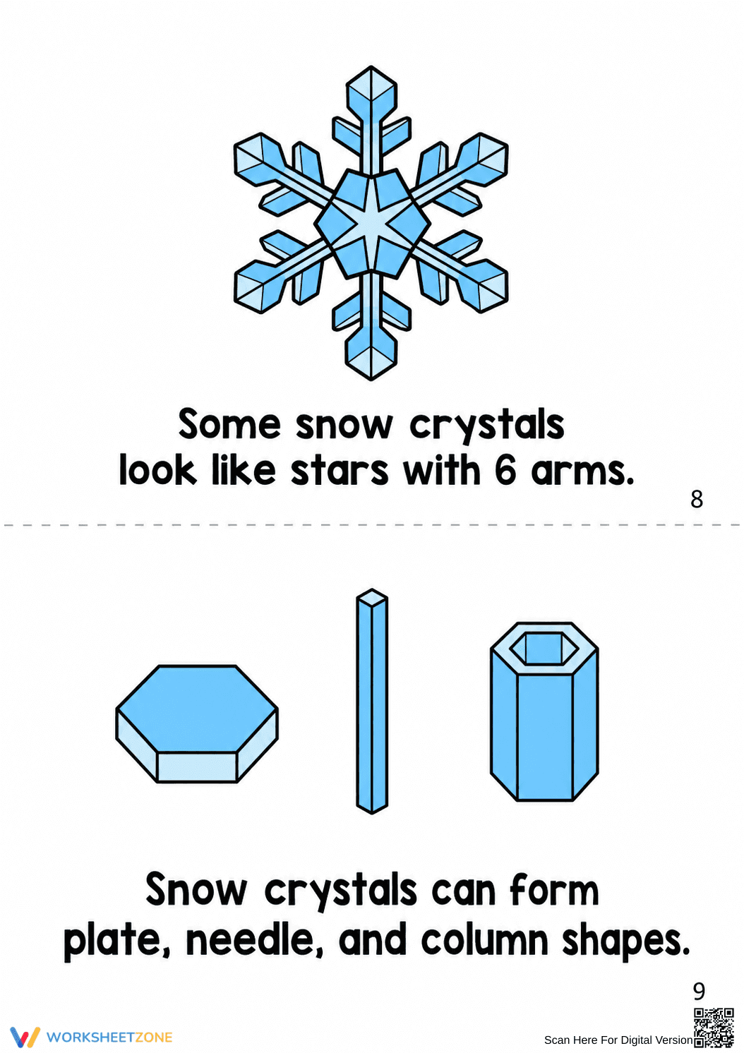 Grade 3 Snowflake Life Cycle — Printable No-Prep Booklet - Page 6