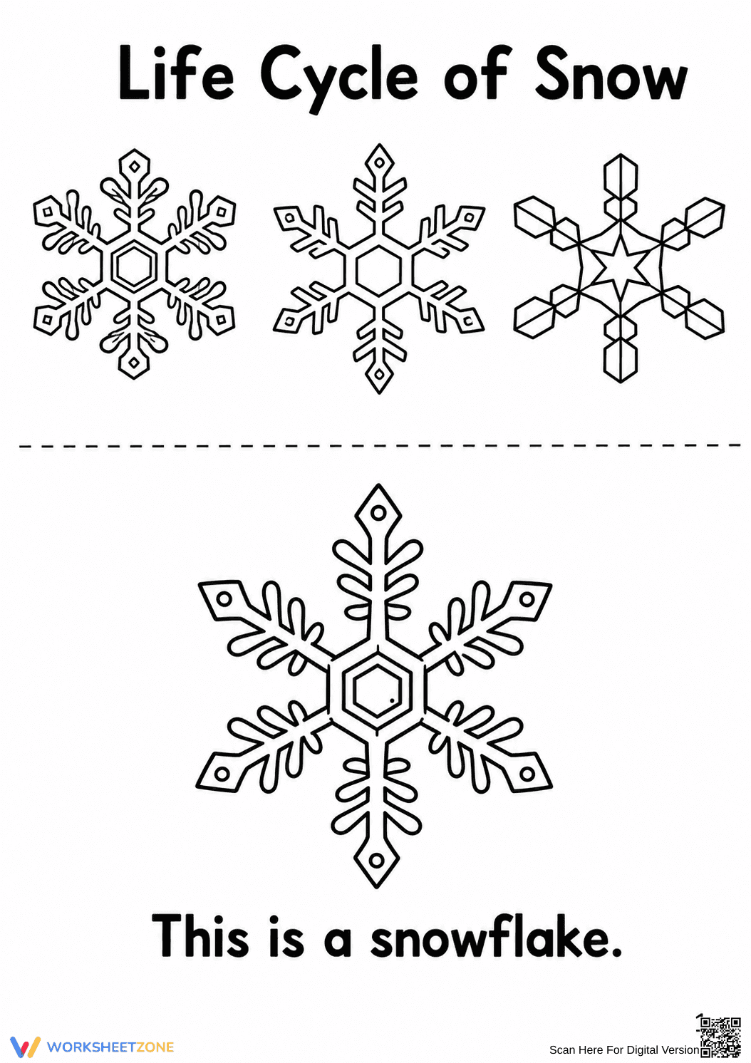 Grade 3 Snowflake Life Cycle — Printable No-Prep Booklet - Page 9