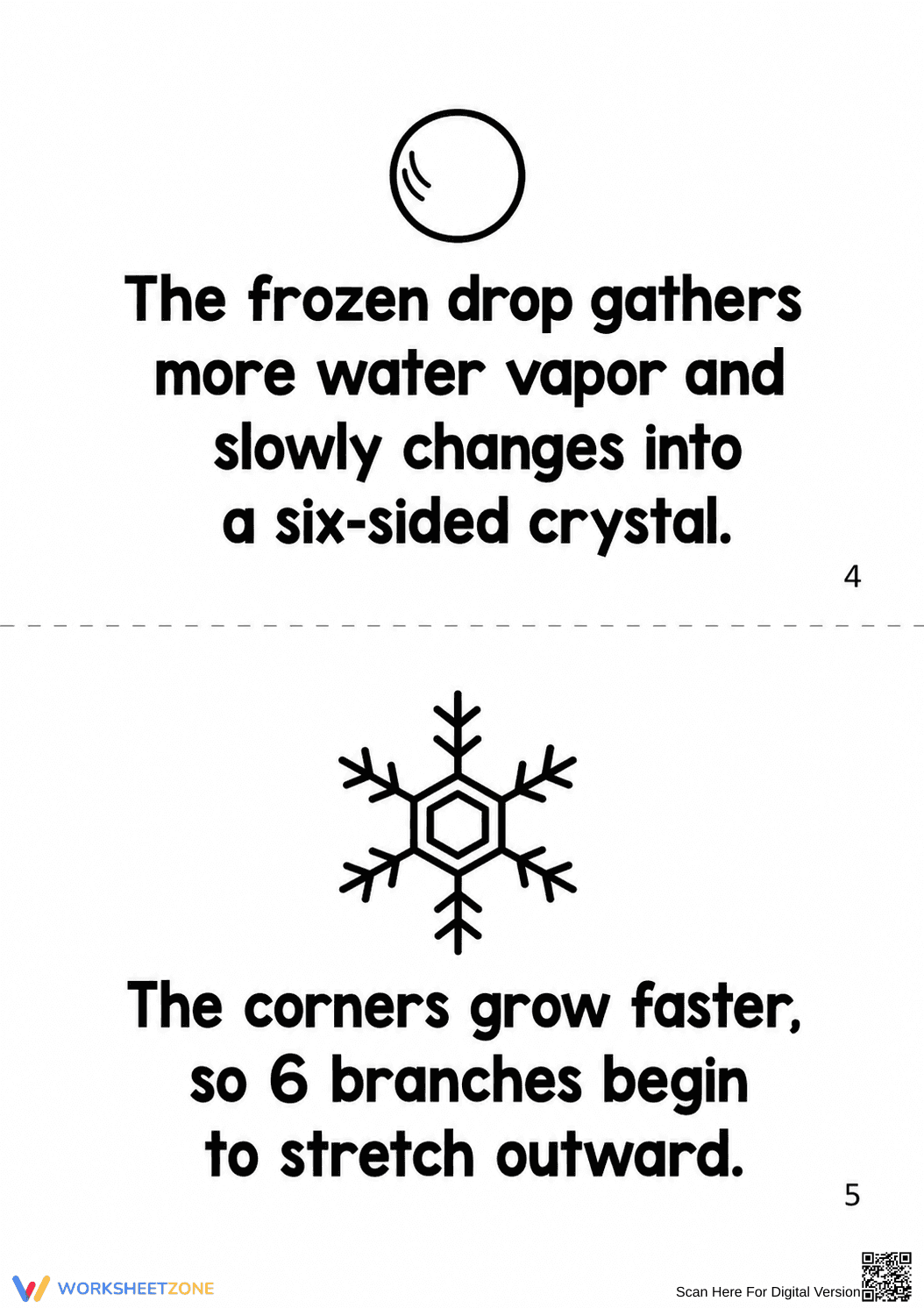 Grade 3 Snowflake Life Cycle — Printable No-Prep Booklet - Page 11