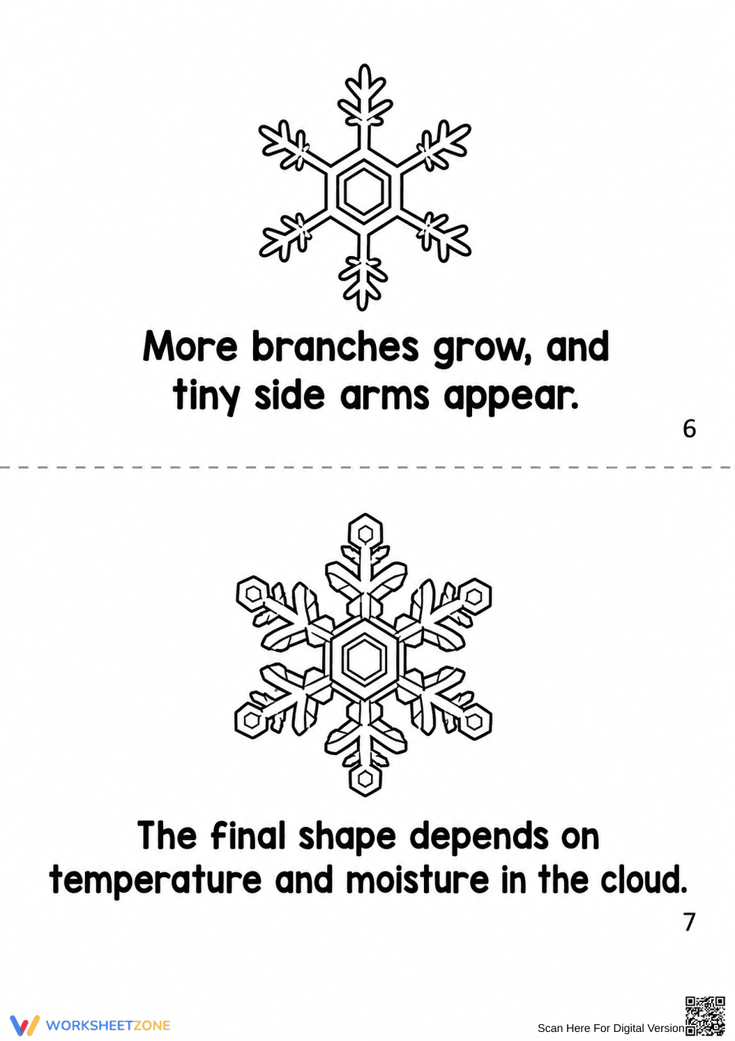 Grade 3 Snowflake Life Cycle — Printable No-Prep Booklet - Page 12