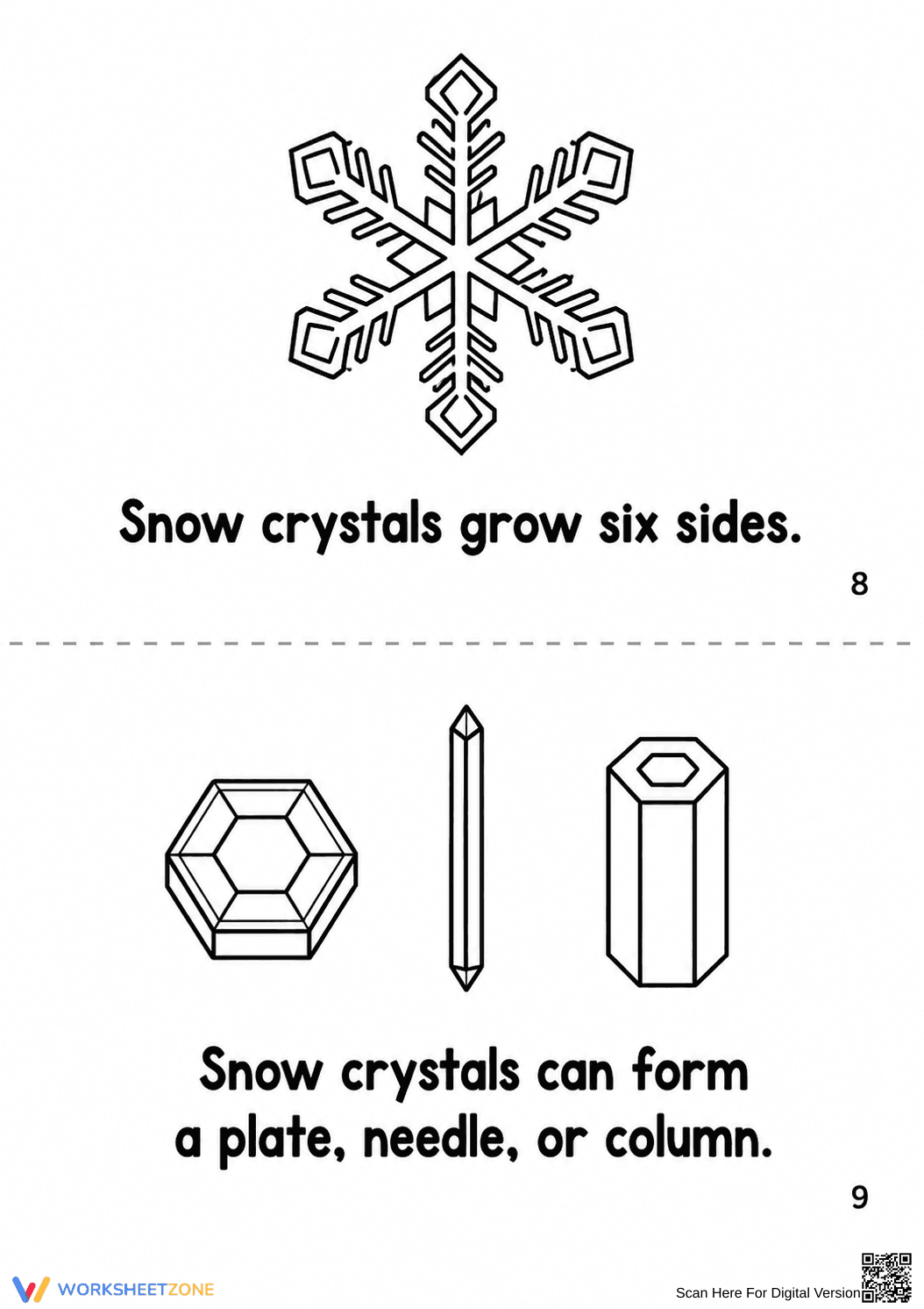 Grade 3 Snowflake Life Cycle — Printable No-Prep Booklet - Page 13