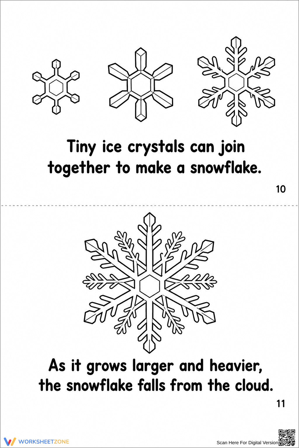 Grade 3 Snowflake Life Cycle — Printable No-Prep Booklet - Page 14