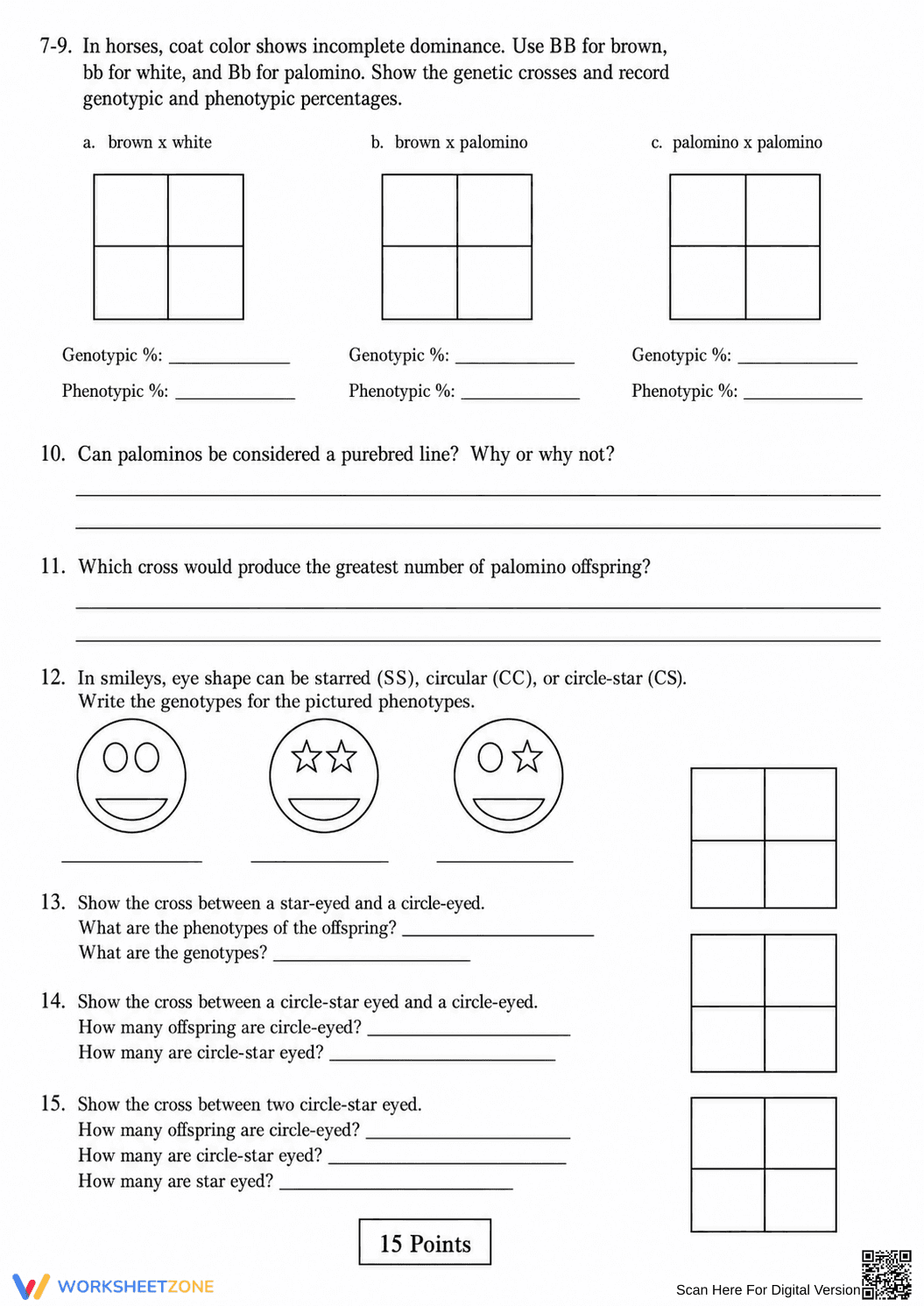 Printable Genetics & Punnett Squares Packet | Grade 9-10 - Page 2