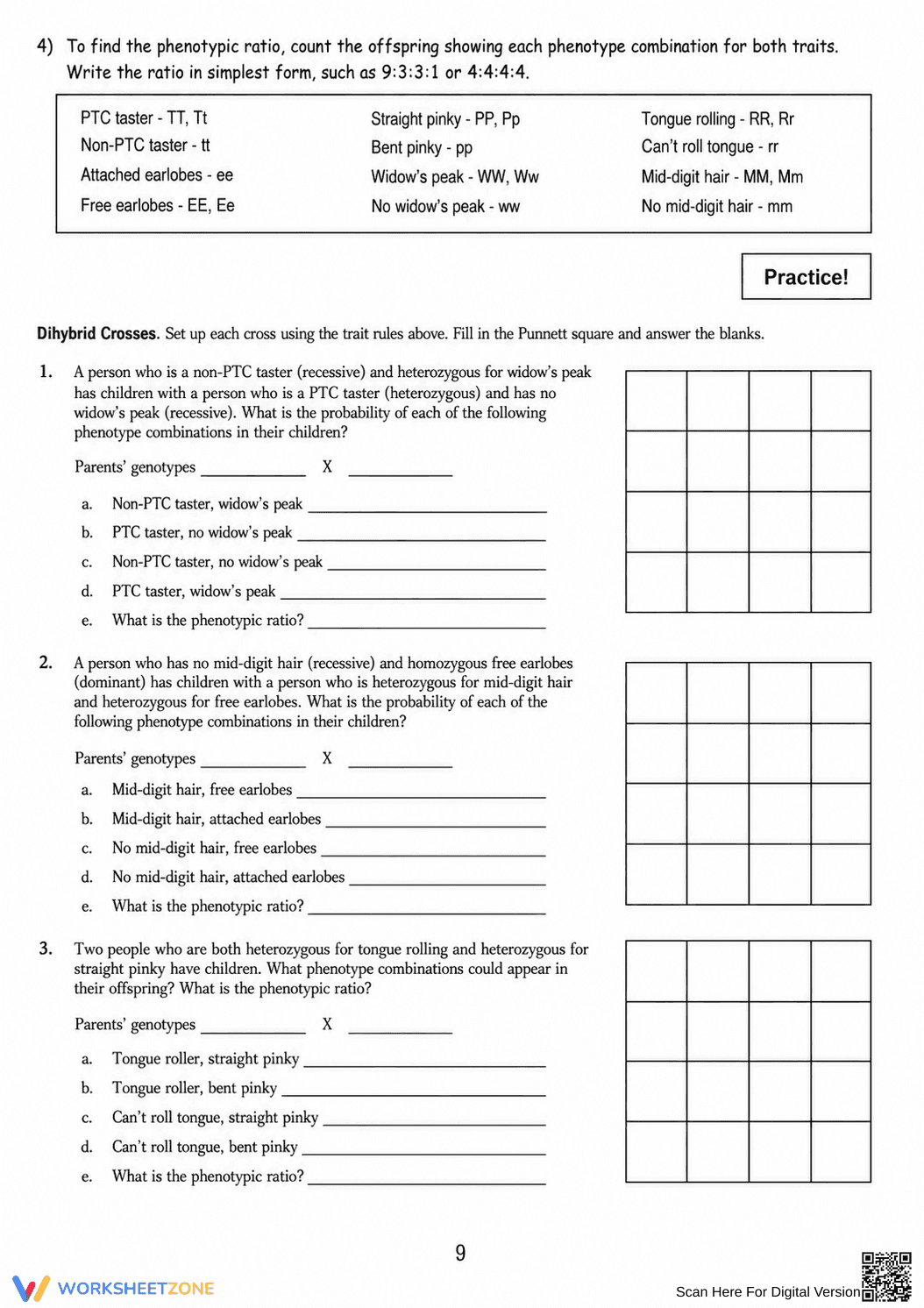 Printable Genetics & Punnett Squares Packet | Grade 9-10 - Page 9
