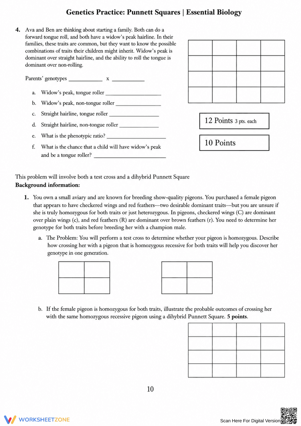 Printable Genetics & Punnett Squares Packet | Grade 9-10 - Page 10