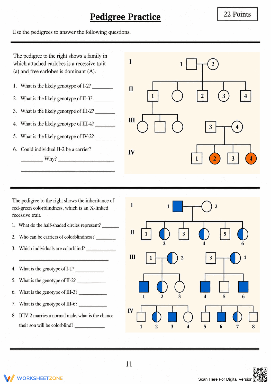 Printable Genetics & Punnett Squares Packet | Grade 9-10 - Page 11