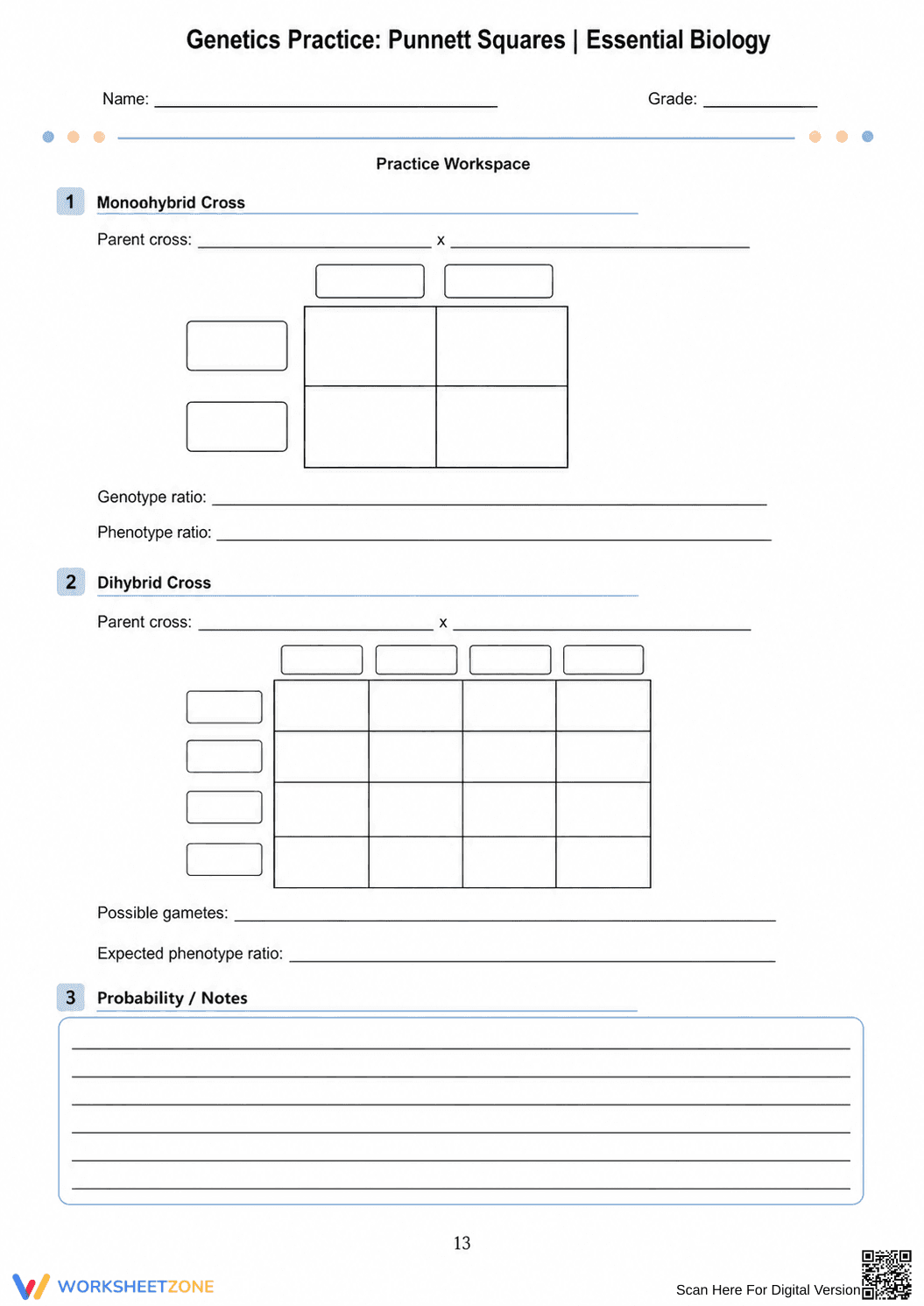 Printable Genetics & Punnett Squares Packet | Grade 9-10 - Page 13