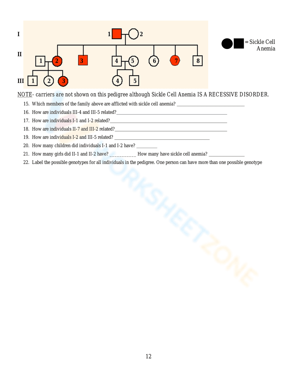 Genetics Practice: Punnett Squares - Page 12
