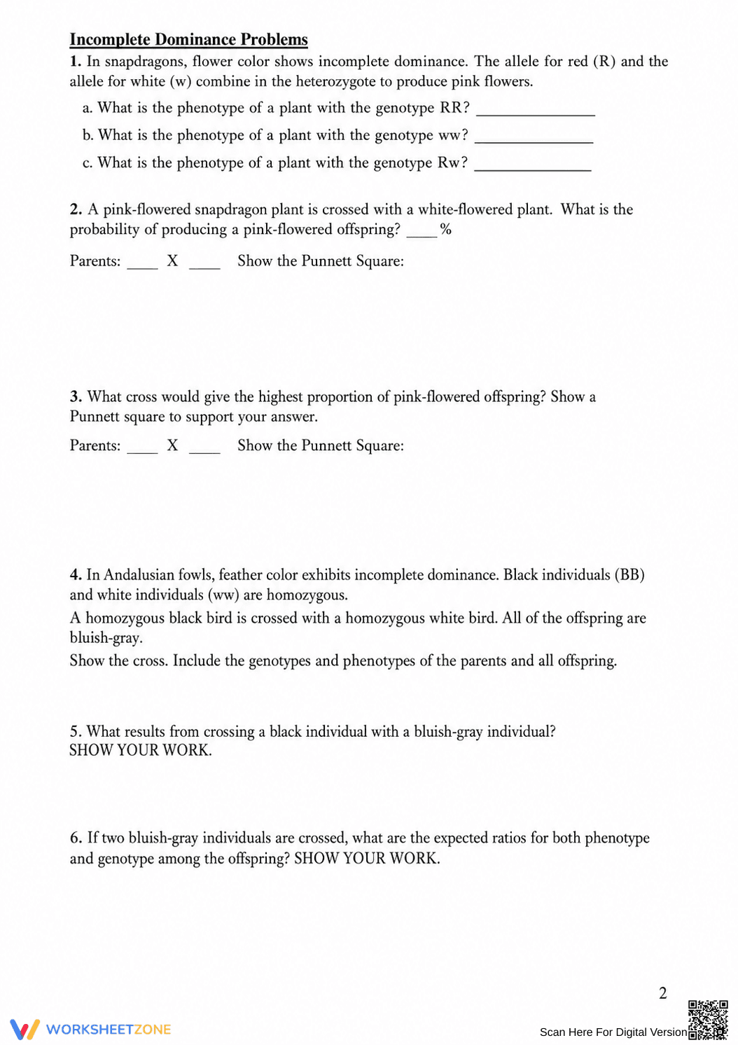 Printable Codominance Worksheet | Grade 9-10 Biology - Page 2