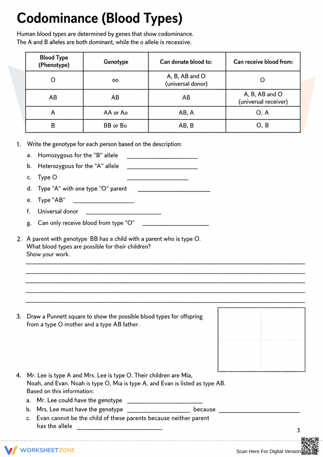 Printable Codominance Worksheet | Grade 9-10 Biology - Page 3