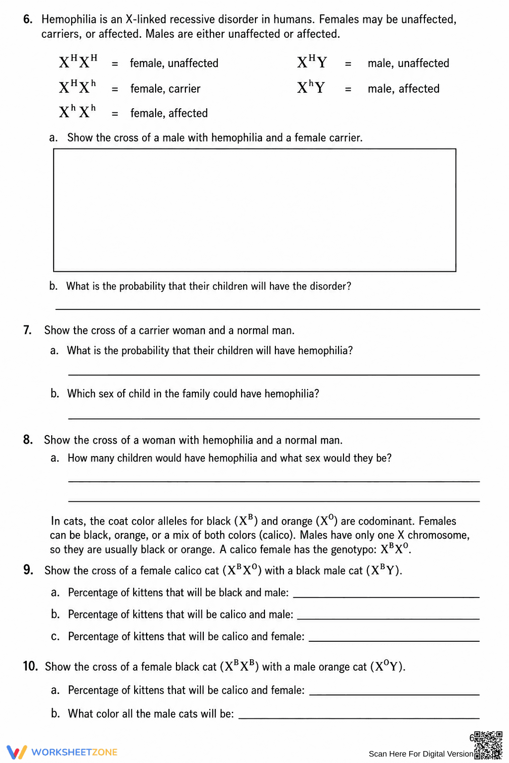 Printable Codominance Worksheet | Grade 9-10 Biology - Page 6