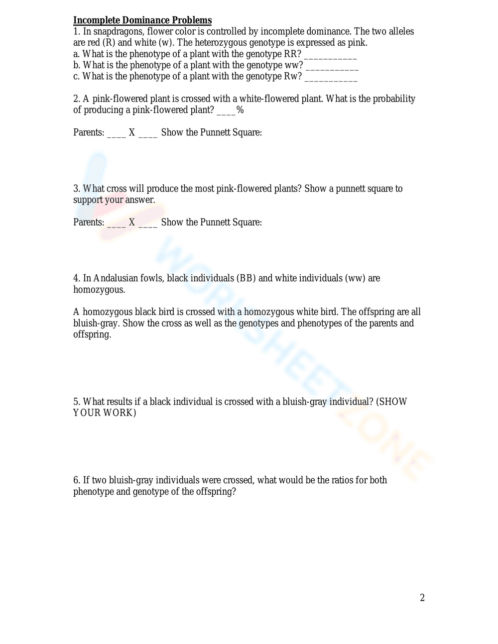 Printable Codominance Worksheet | Grade 9-10 Biology - Page 2