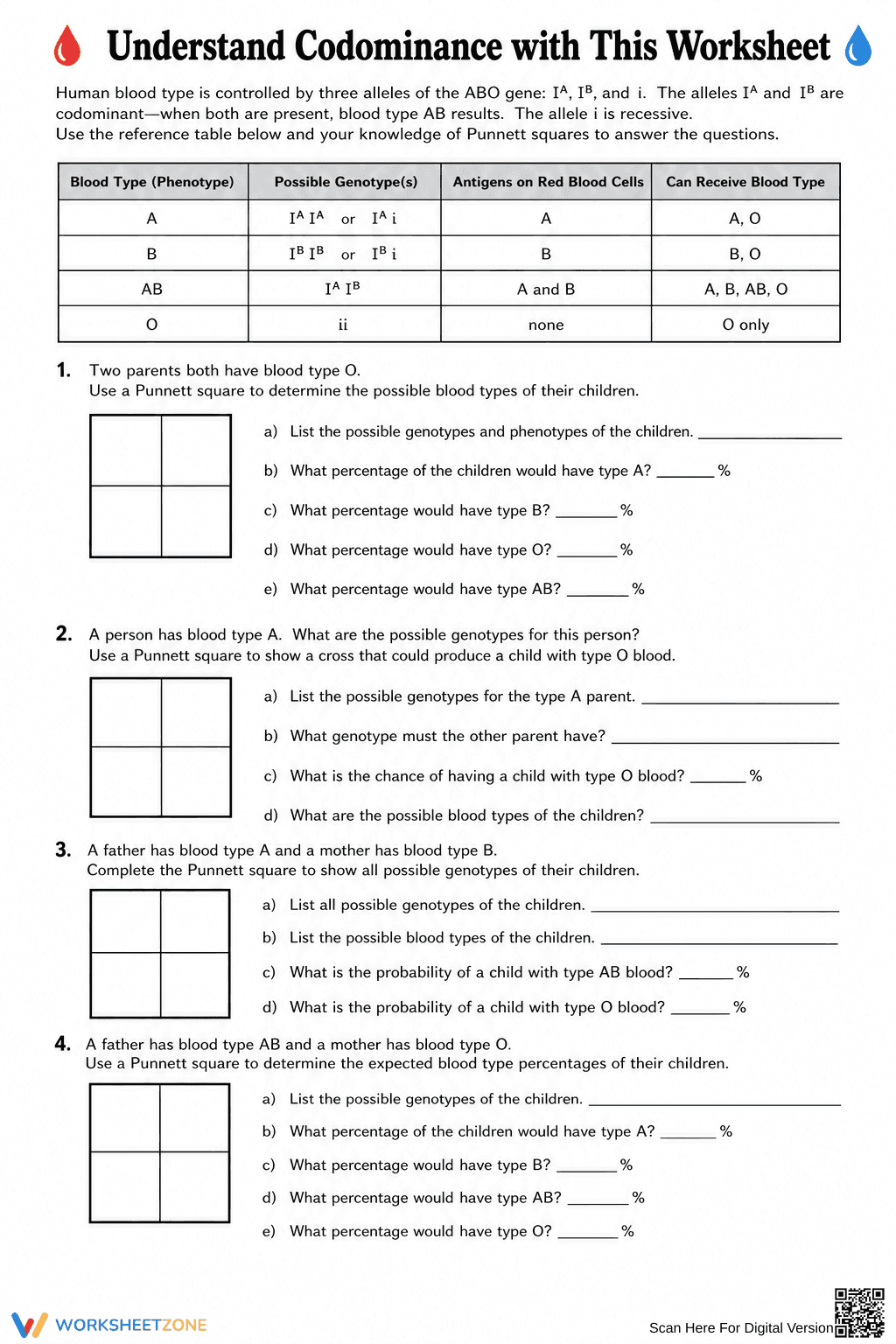 Codominance & Blood Types Worksheet | Grade 9 Printable - Page 4