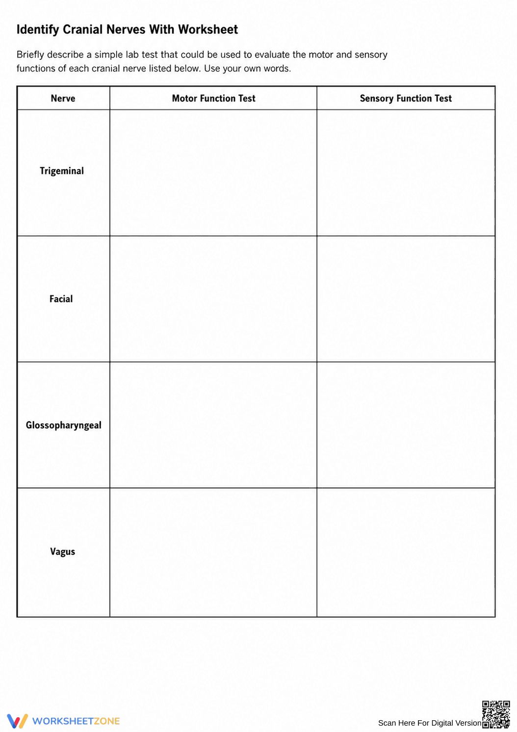 Grade 11-12 Cranial Nerves — Printable No-Prep Worksheet - Page 2