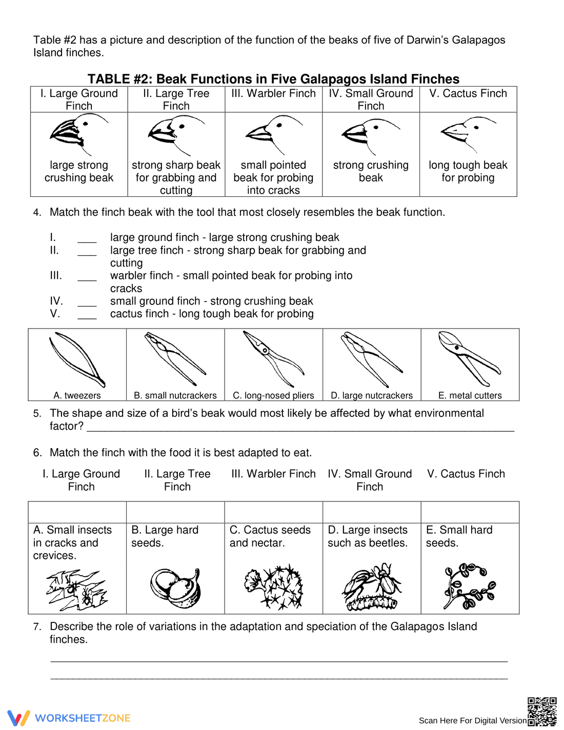 Exploring Darwin's Finches - Page 2