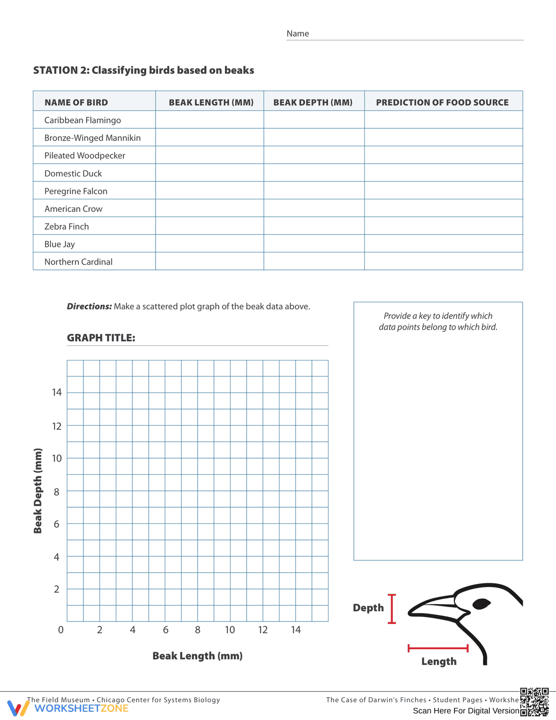 Adaptive Traits of Darwin's Finches - Page 2