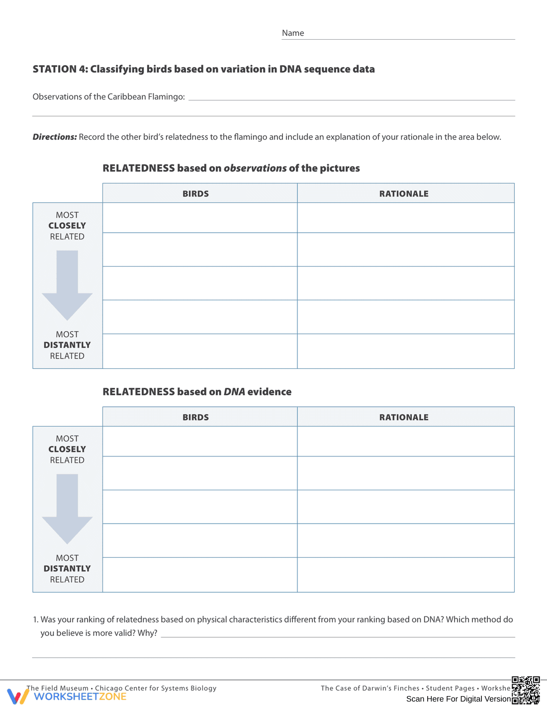 Adaptive Traits of Darwin's Finches - Page 4