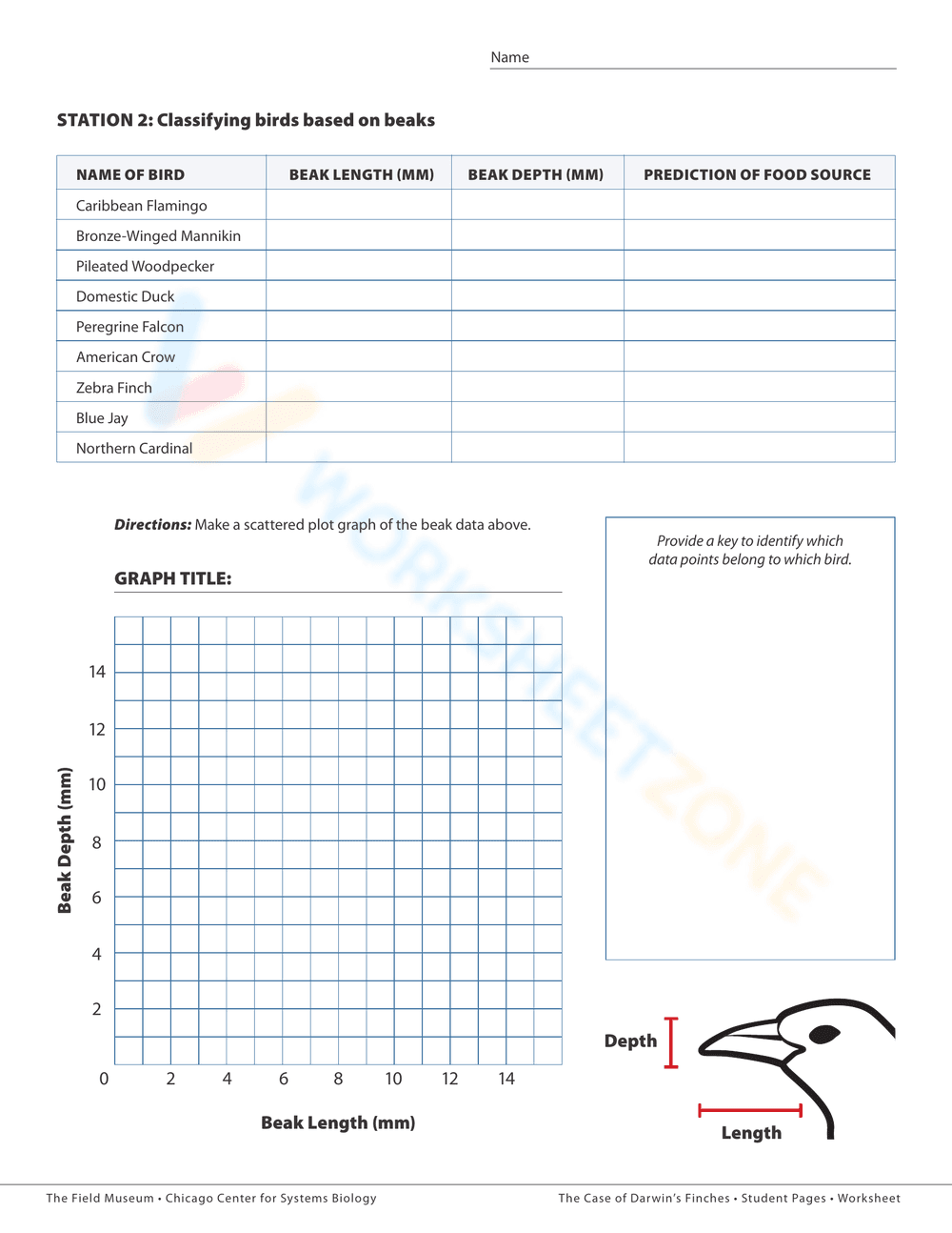 Adaptive Traits of Darwin's Finches - Page 2