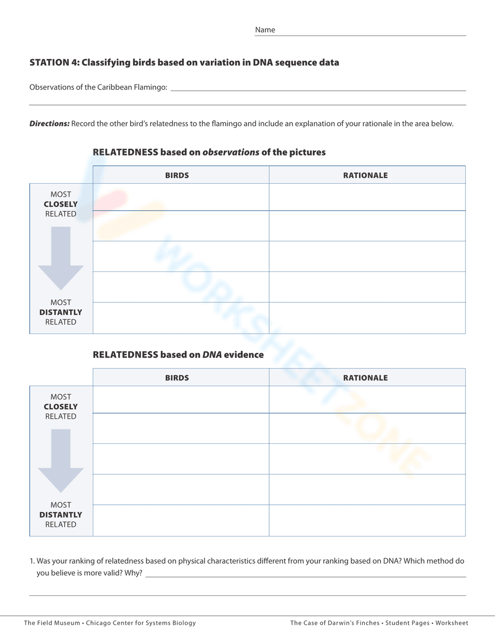 Adaptive Traits of Darwin's Finches - Page 4