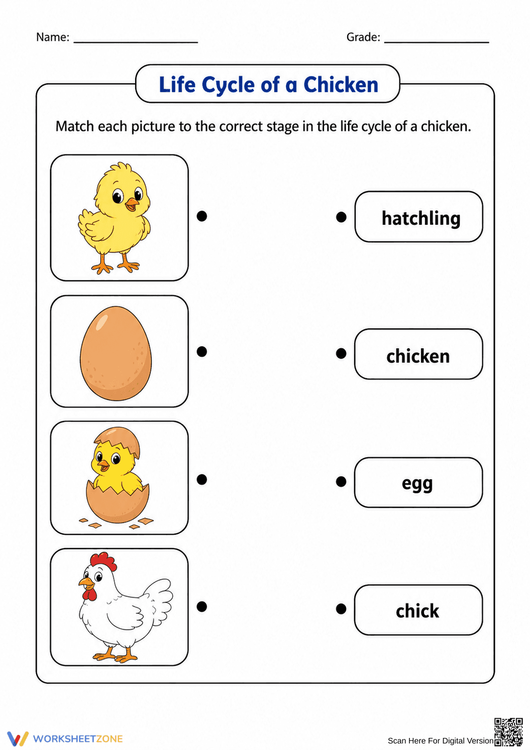 Chicken Life Cycle Printable Worksheet | Grade 3 Science - Page 2