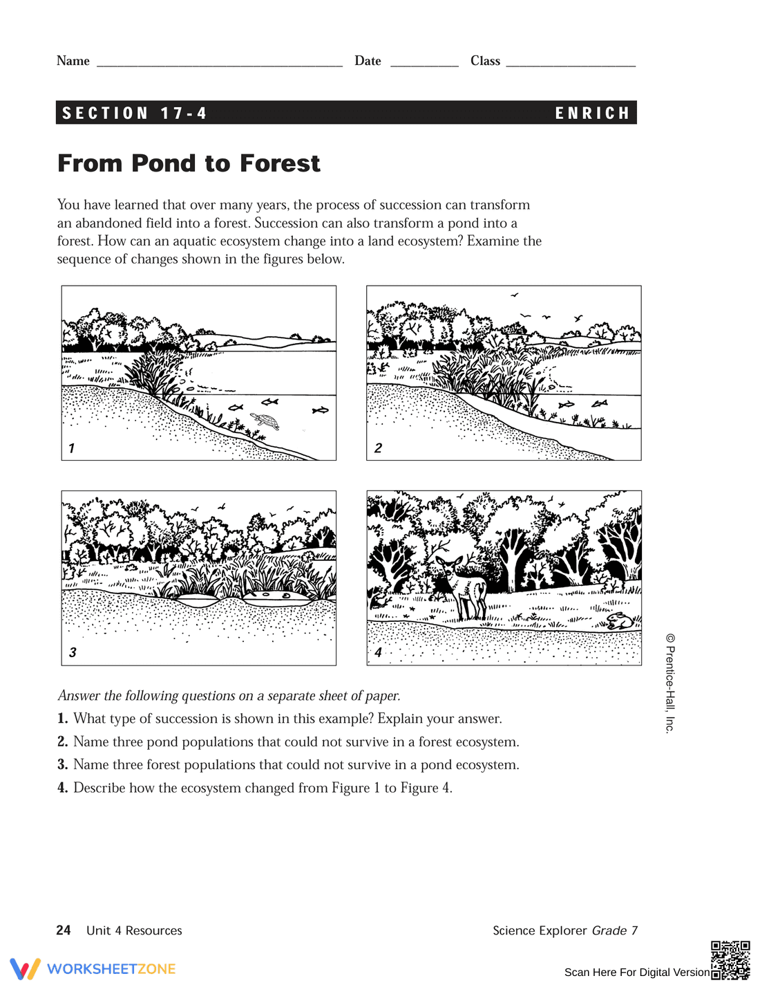 Succession & Equilibrium in Ecosystems - Page 2