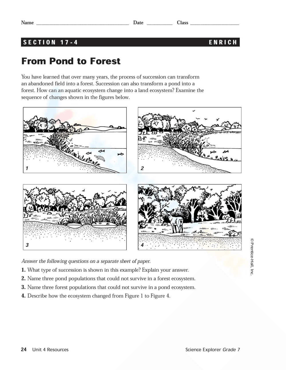 Succession & Equilibrium in Ecosystems - Page 2
