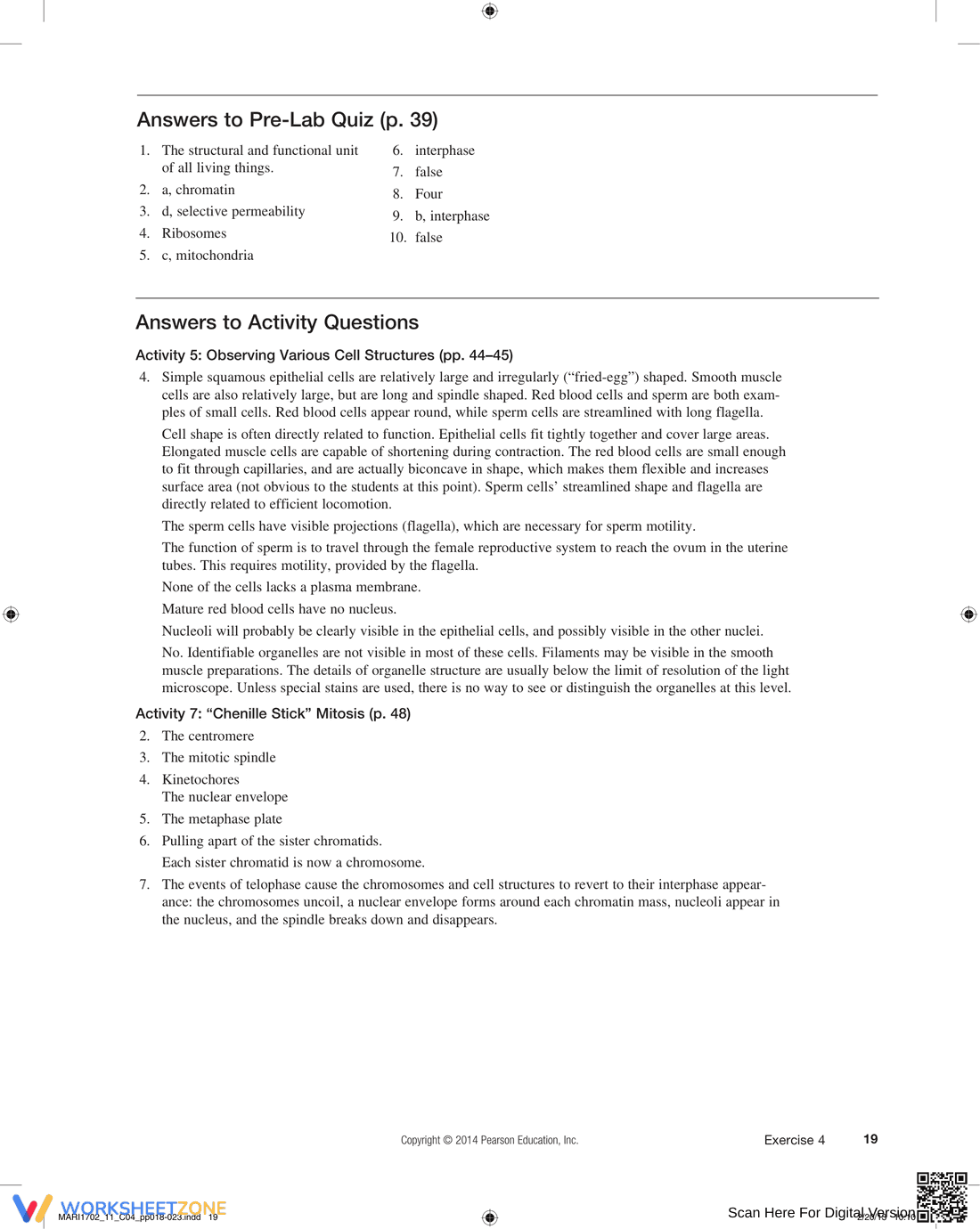The Cell: Anatomy and Division Worksheet - Page 2