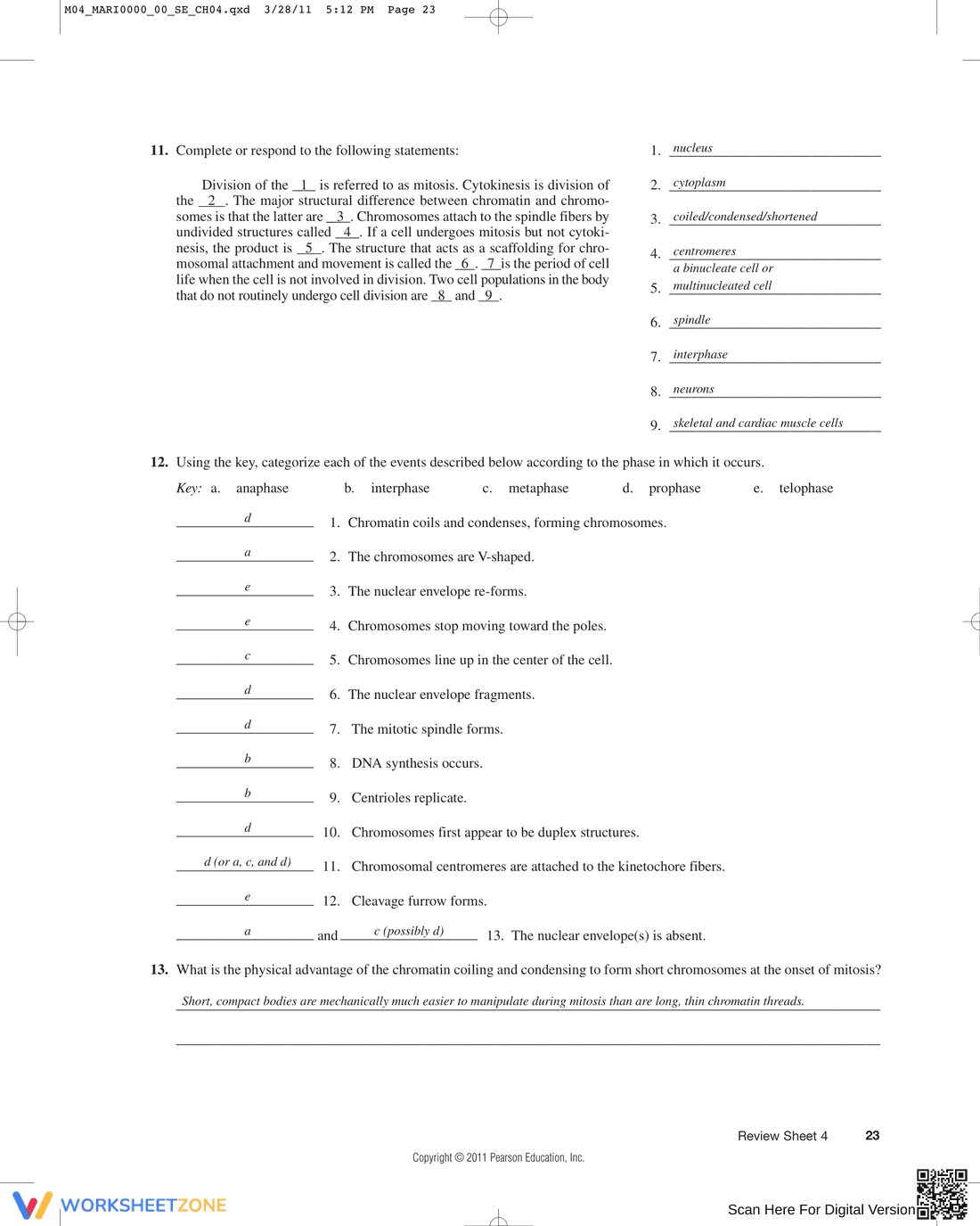 Updated Anatomy of the Composite Cell Worksheet - Page 4