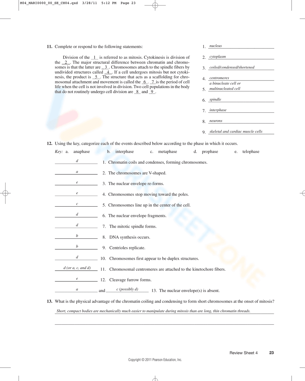 Updated Anatomy of the Composite Cell Worksheet - Page 4