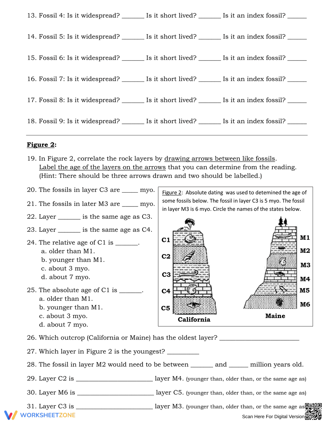 Explore Fossils with this Engaging Worksheet - Page 3