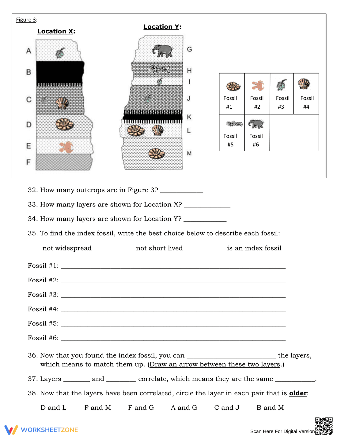 Explore Fossils with this Engaging Worksheet - Page 4